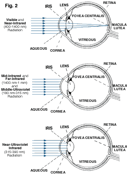 Eyeball chart